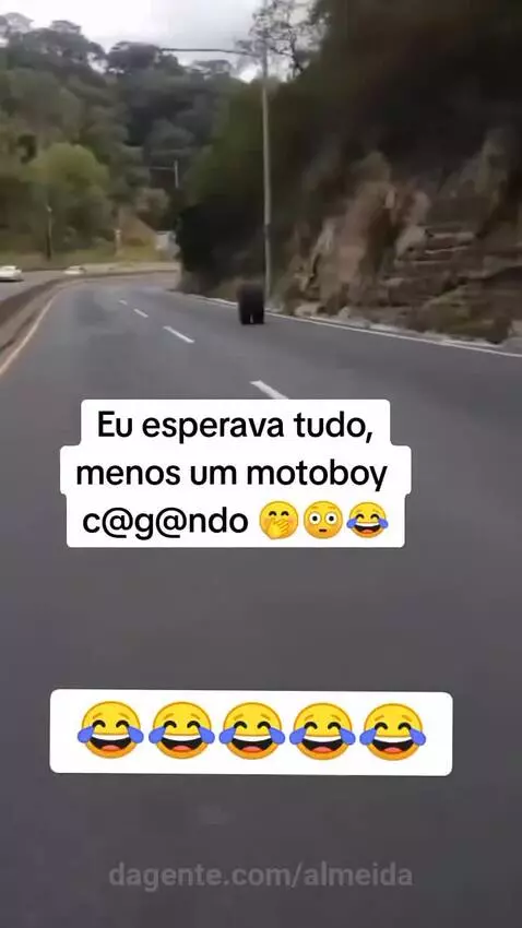Cada Surpresa! by almeida