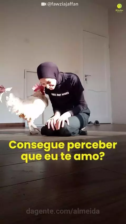 Video by almeida