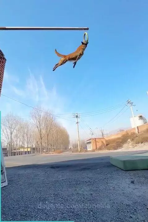 Video by almeida