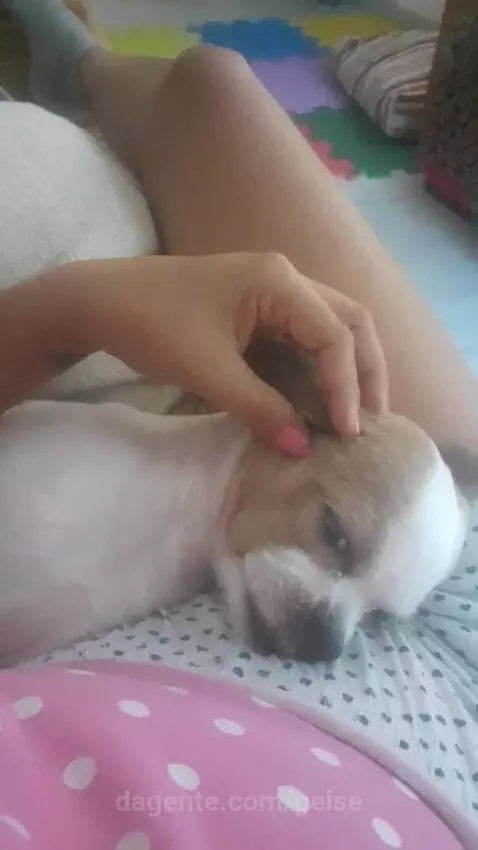 Video by geise