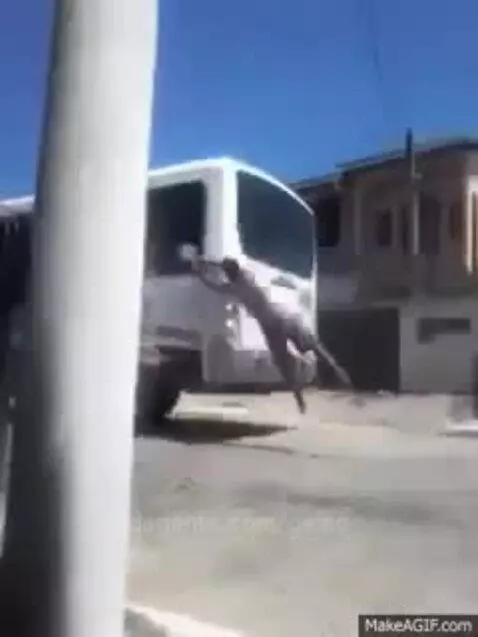 Video by geise