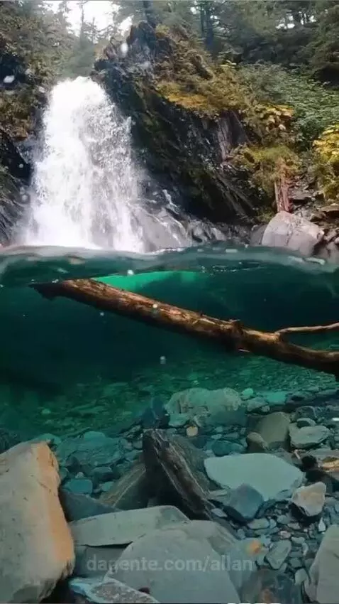 Só que curte natureza aperta no coração by allan