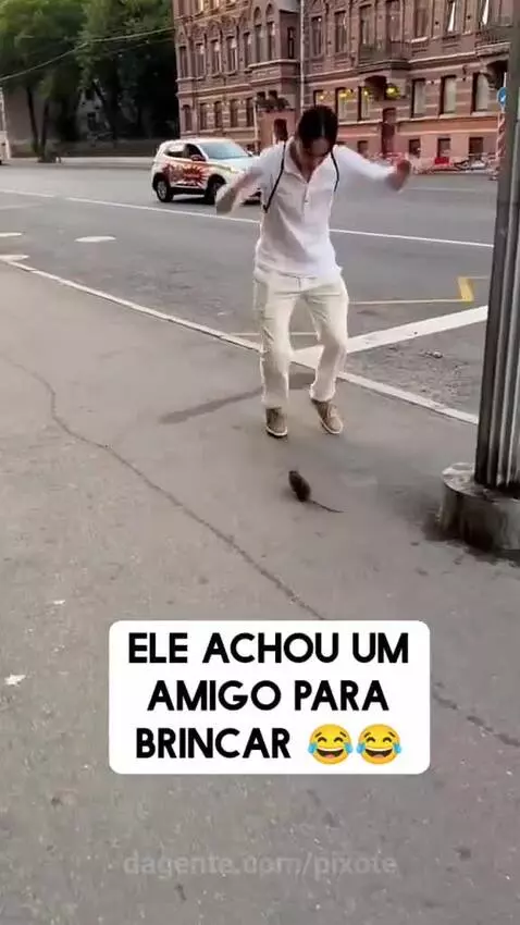 Video by pixote