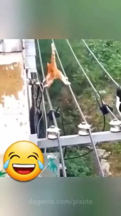 Video by pixote