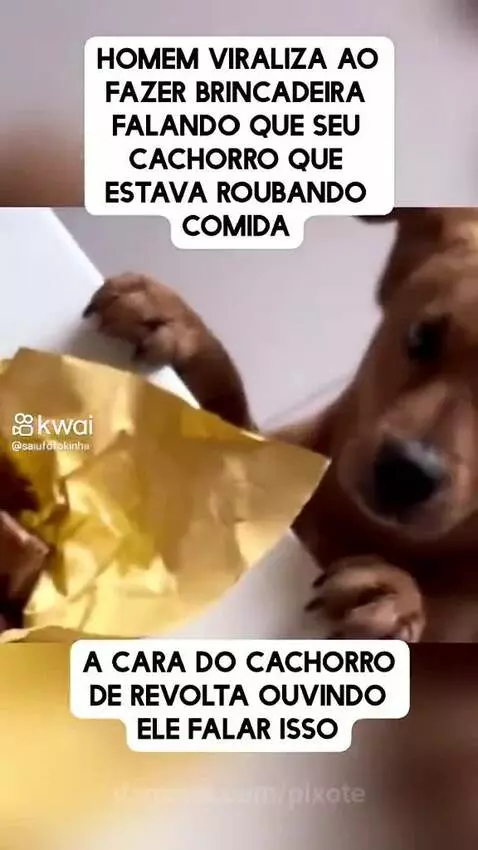 Video by pixote