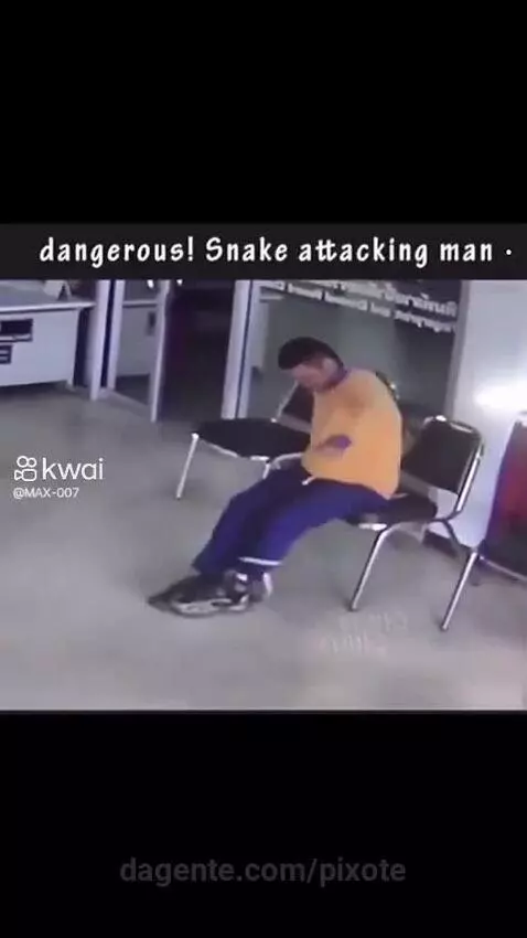 Video by pixote