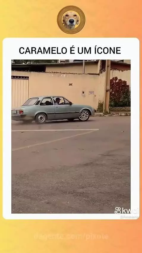 Video by pixote