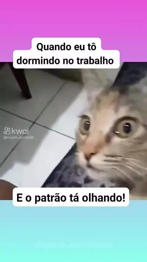 Video by pixote