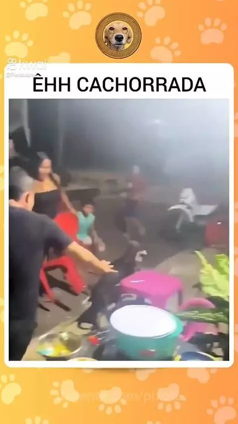 Video by pixote