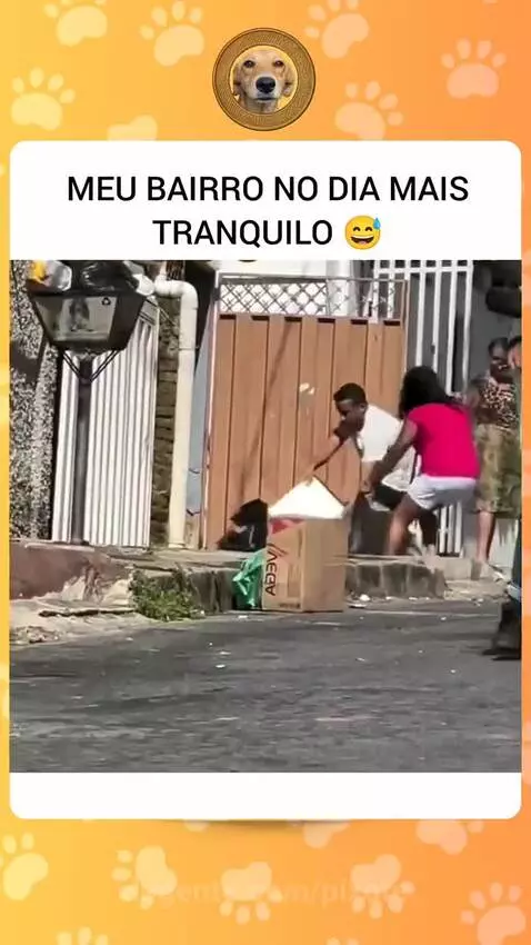 Video by pixote