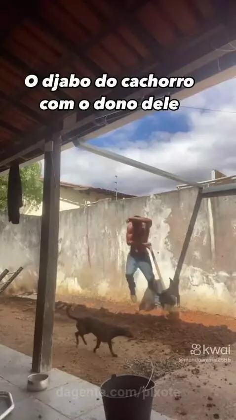 Video by pixote