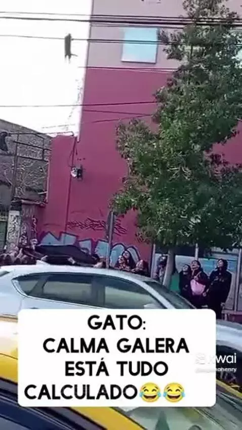 Video by pixote