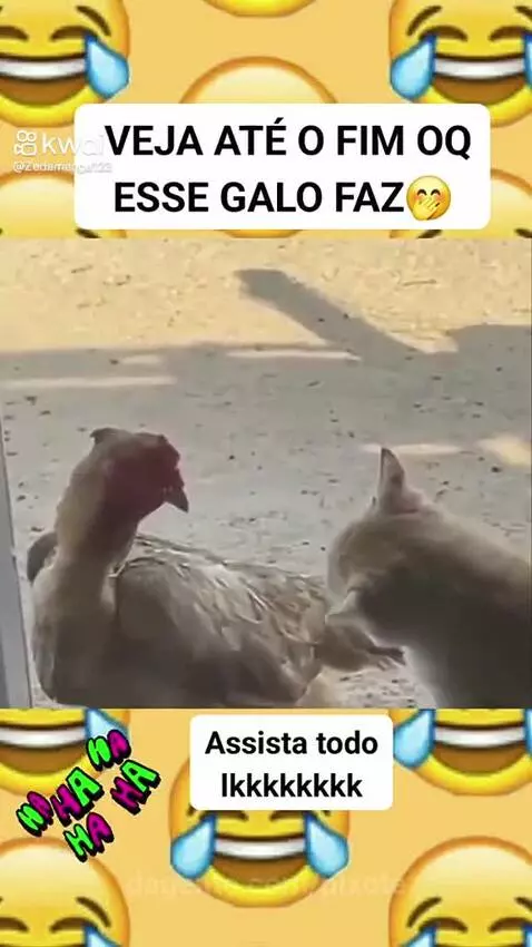 Video by pixote