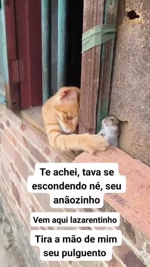 Video by pixote