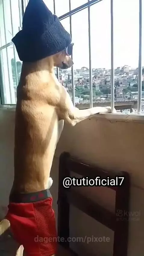Video by pixote