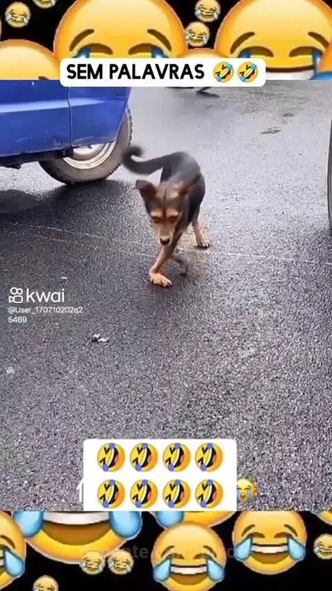 Video by pixote