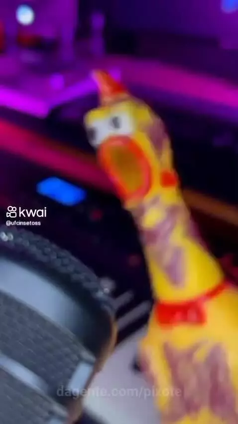 Video by pixote