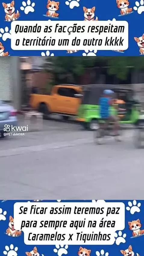 Video by pixote