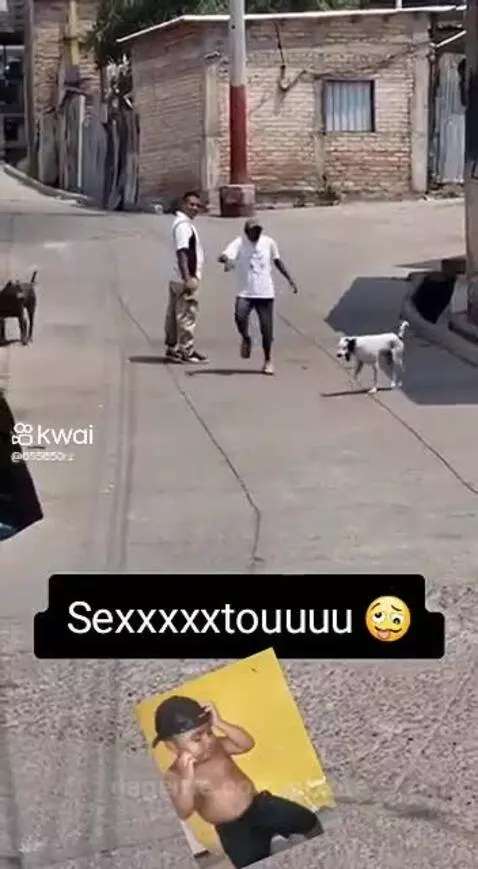 Video by pixote