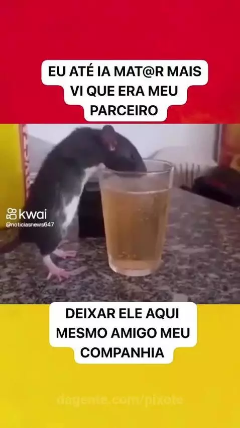 Video by pixote