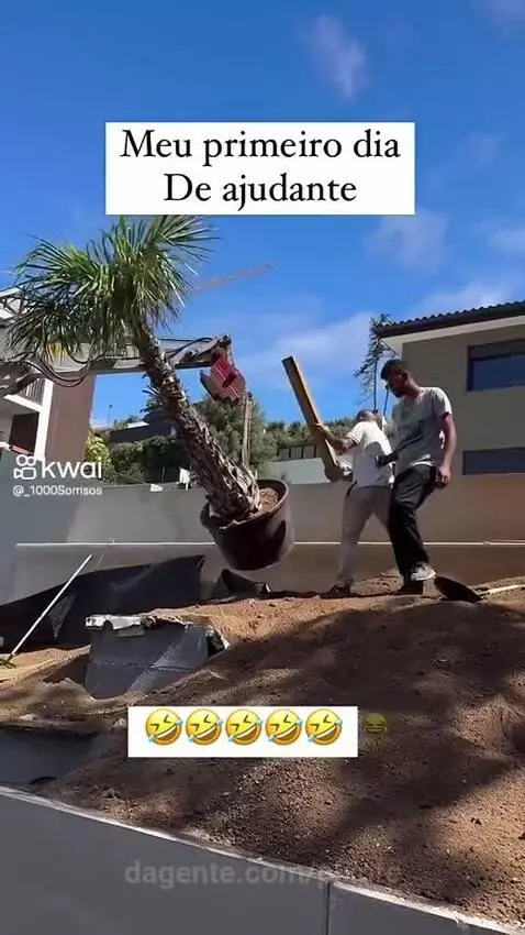 Video by pixote