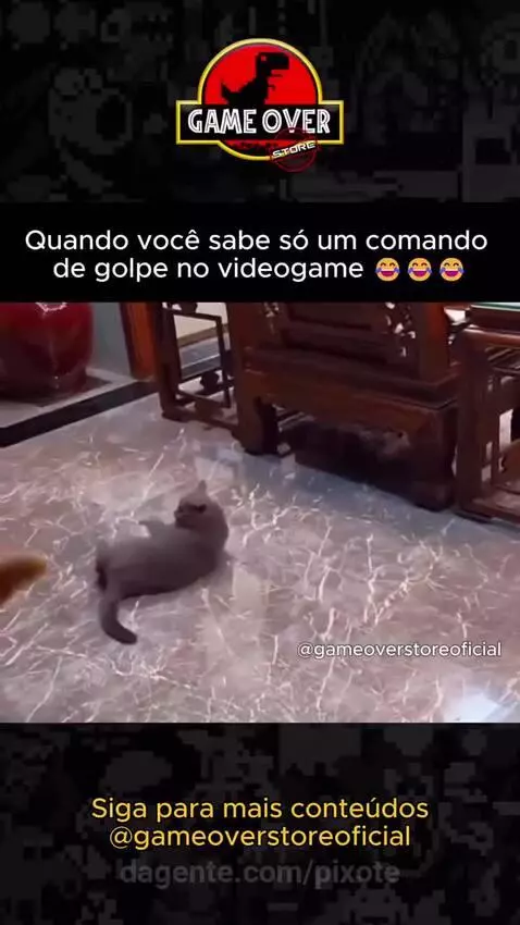 Video by pixote