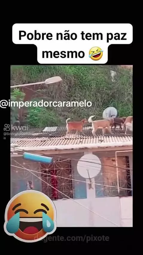 Video by pixote