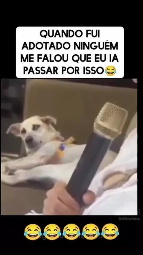 Video by pixote