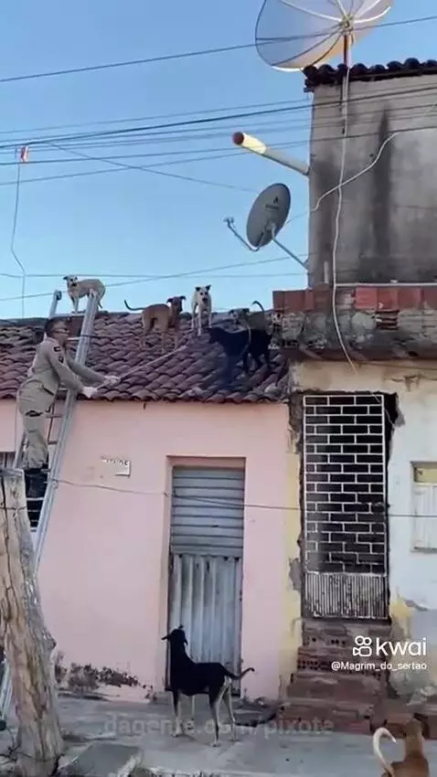 Video by pixote
