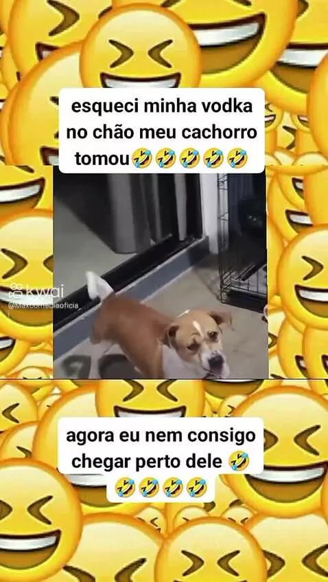 Video by pixote