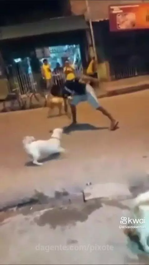 Video by pixote