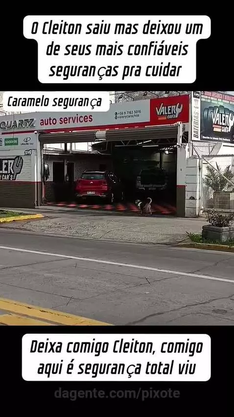Video by pixote