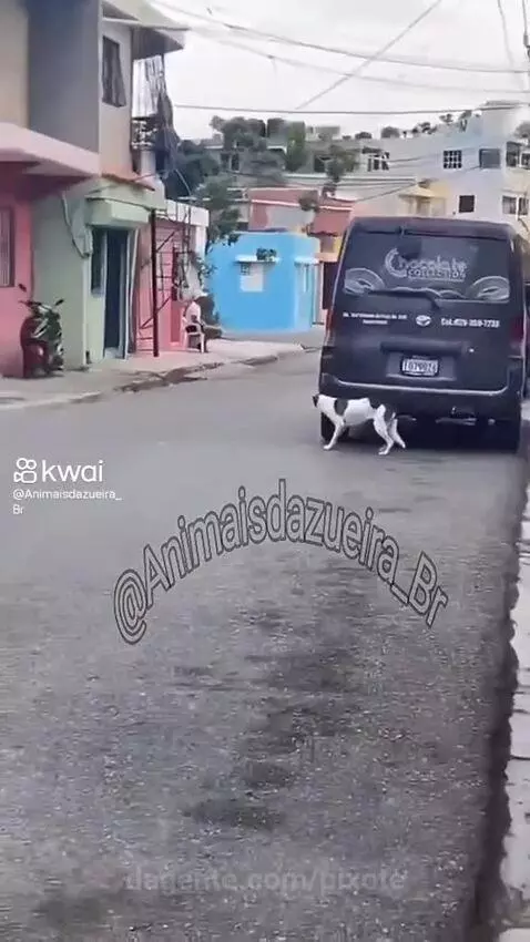 Video by pixote