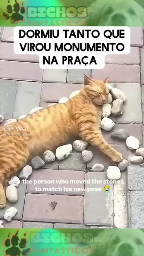 Video by pixote