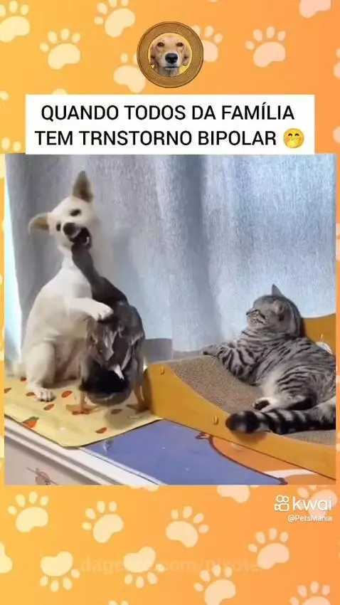Video by pixote