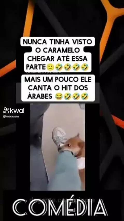 Video by pixote