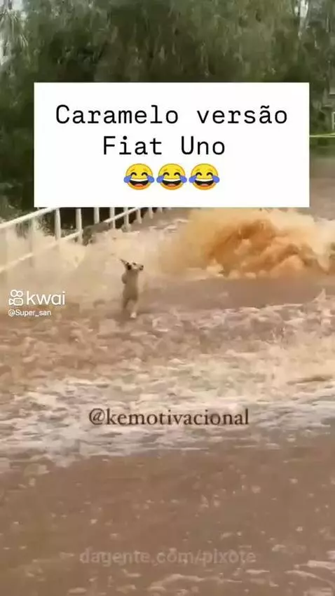 Video by pixote