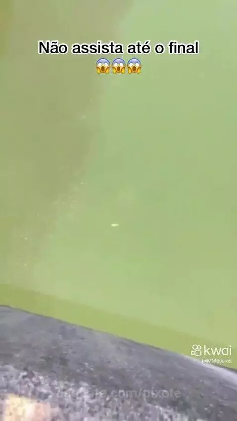 Video by pixote