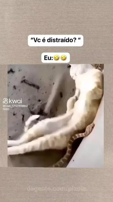 Video by pixote