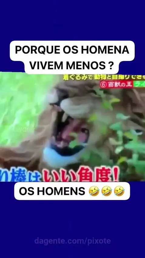 Video by pixote