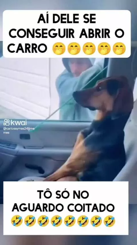 Video by pixote