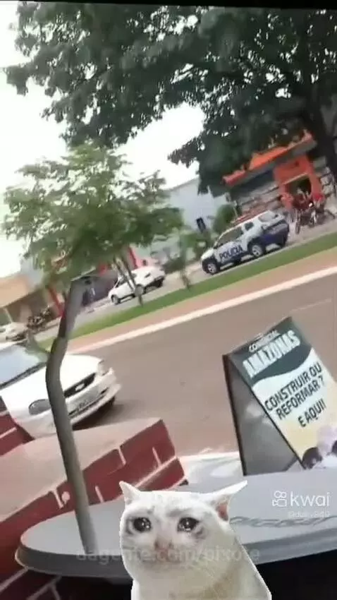 Video by pixote