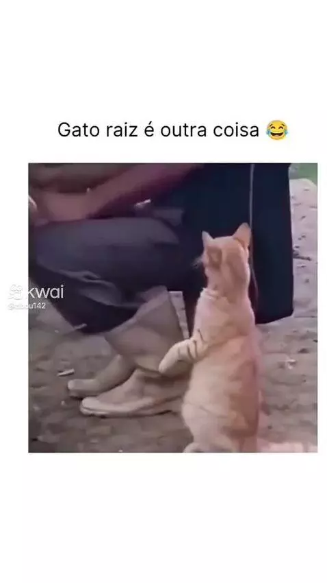 Video by pixote