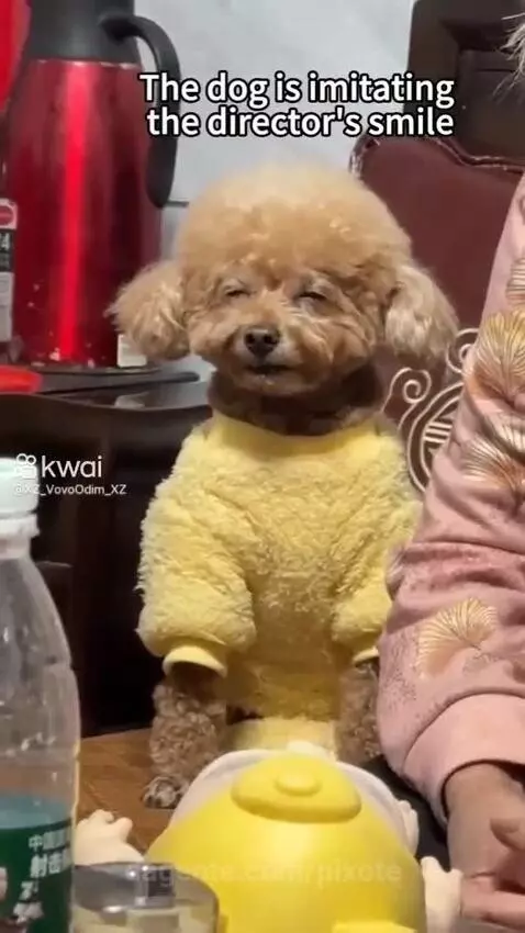 Video by pixote