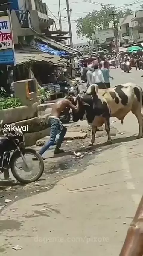 Video by pixote