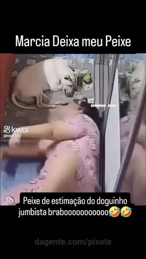 Video by pixote