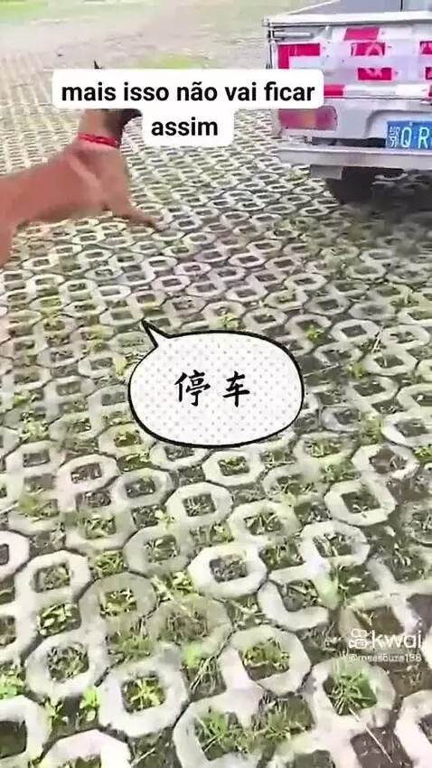 Video by pixote