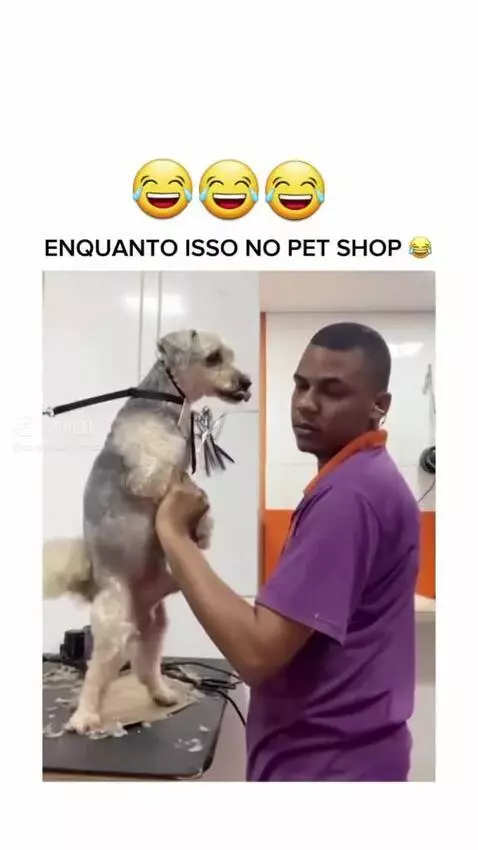 Video by pixote