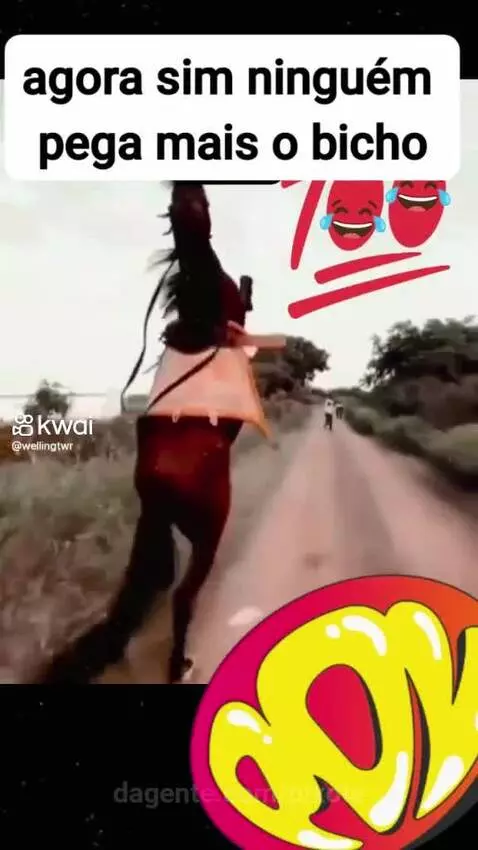 Video by pixote
