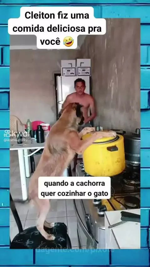 Video by pixote